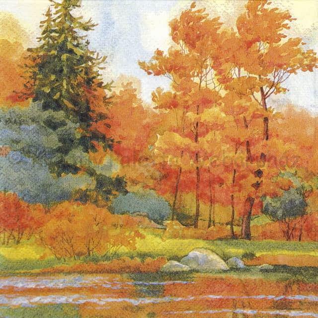 Szalvéta - ősz a folyónál