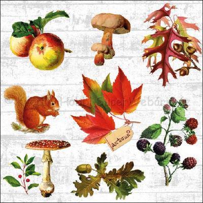 Szalvéta - ősz - Woody