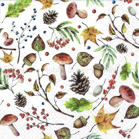 Szalvéta - őszi erdő - autumn forest