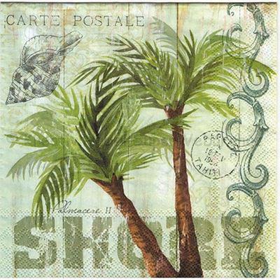 Szalvéta - pálmafa - Palm Trees