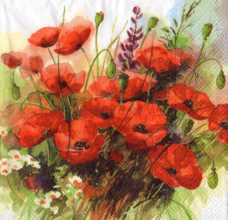 Szalvéta - pipacsok - Wild Poppies
