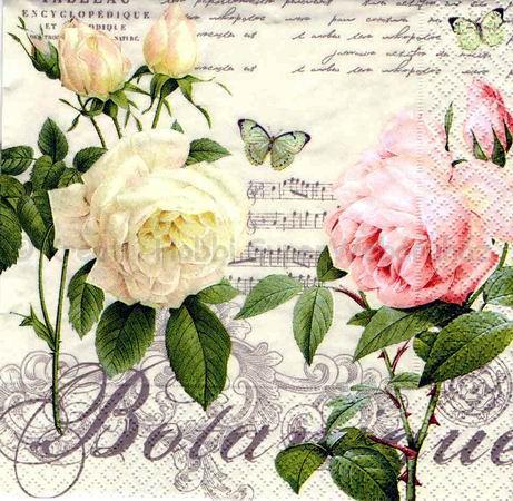 Szalvéta - rózsák, botanikus kert - Jardin Botanique