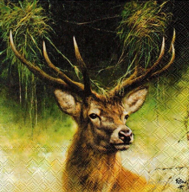 Szalvéta - szarvas - Proud Deer