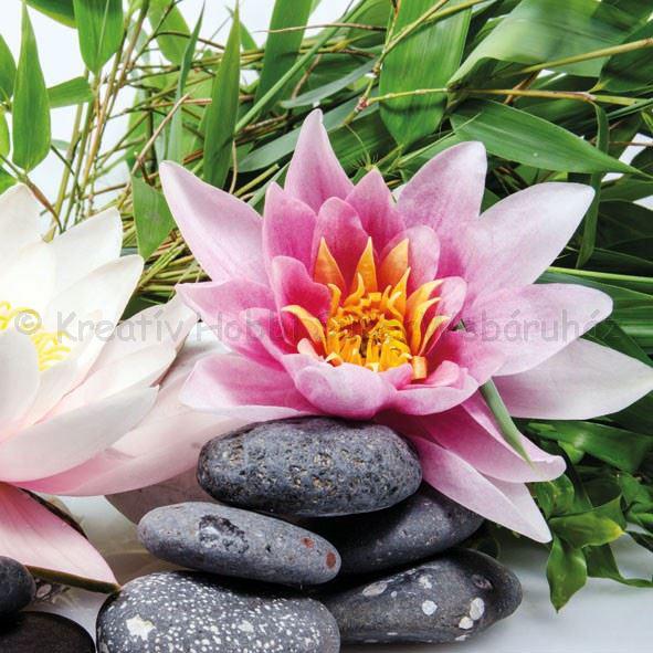 Szalvéta - tavirózsa- Water Lily