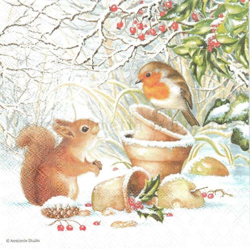 Szalvéta - téli kép a kertben