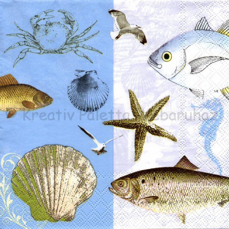 Szalvéta - tengeri élőlények
