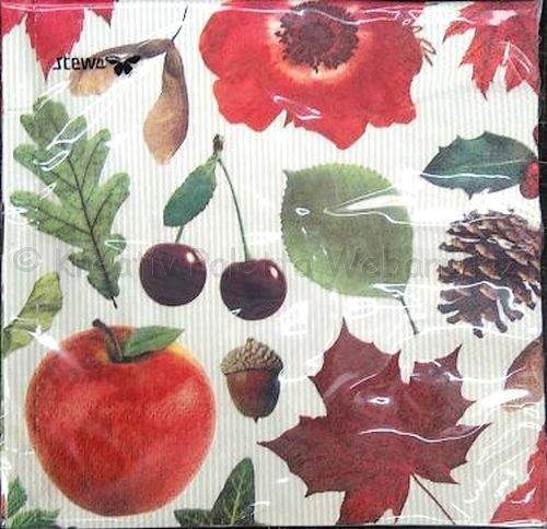 Szalvéta - termések, falevelek