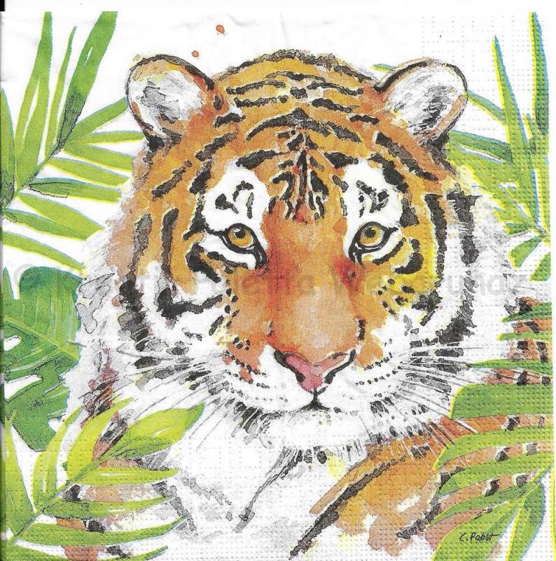 Szalvéta - tigris