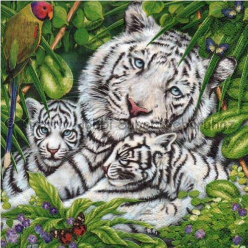 Szalvéta - tigris család