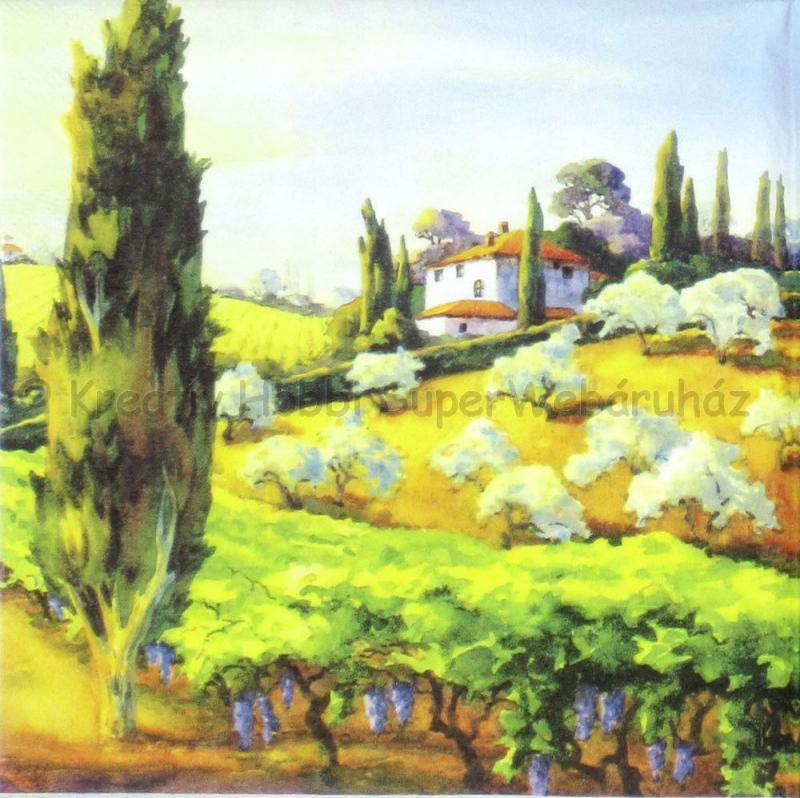 Szalvéta - Toszkán hegycsúcs - toscana hillcrest