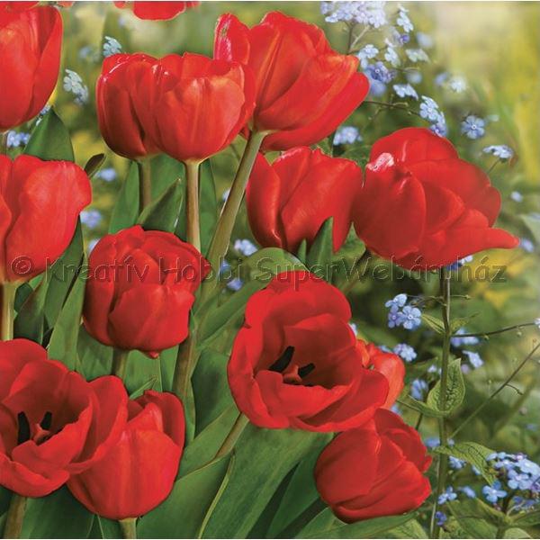 Szalvéta - tulipán piros