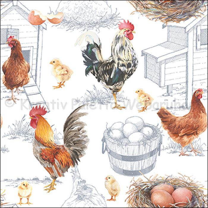 Szalvéta - tyúkfarm