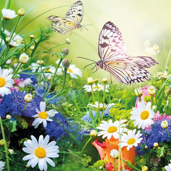 Szalvéta - virágok a mezőn