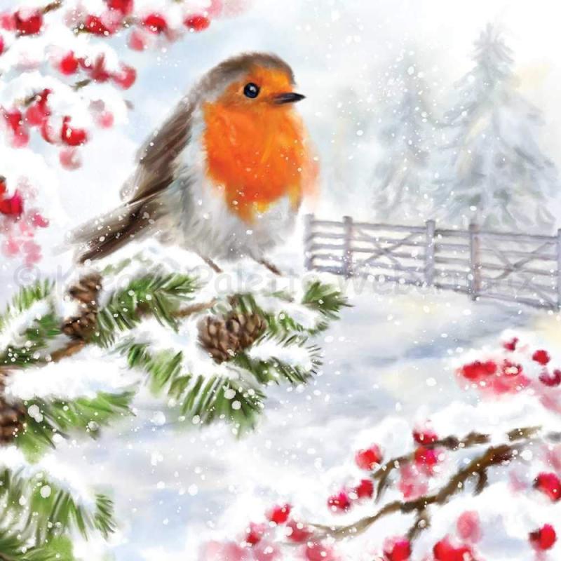 Szalvéta - vörösbegy a havas ágon