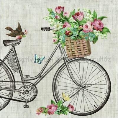 Szalvéta - vörösbegy a kerékpáron - Robin On Bike