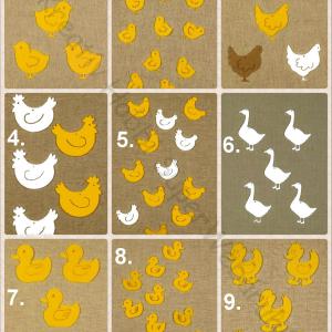 Filcfigura - tyúk, csibe, kacsa, liba