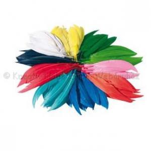 Indián toll 8-15 cm vegyes színek 100 db - gazdaságos kiszerelés