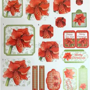 Karácsonyi Amarylis kivágások A4 -