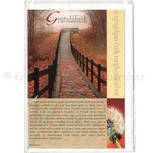 Képeslap borítékkal - nyugdíjba vonuláshoz