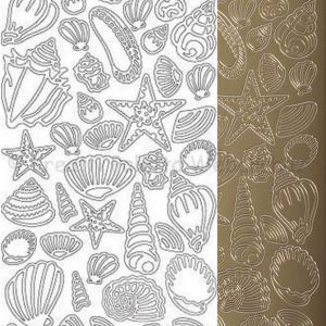 Kontúrmatrica - kagylók