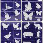 Öntapadó stencil - állatos minták  A/5