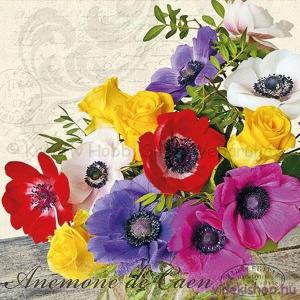 Szalvéta - ceani kökörcsin - Anemone De Caen