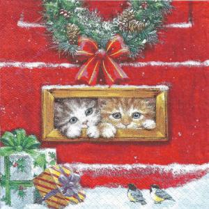 Szalvéta - cicák a levélbedobóban - Letterbox Talk