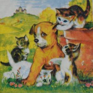 Szalvéta - cicák kutyával