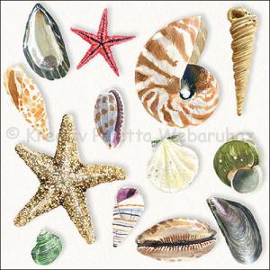 Szalvéta - kagylók