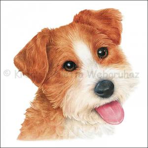 Szalvéta - kutya, Bobby