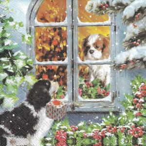 Szalvéta - kutya szerelem