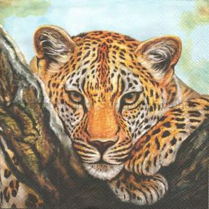 Szalvéta - leopárd