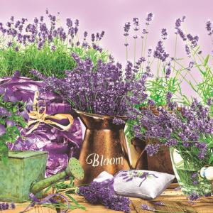 Szalvéta - levendula - Blooming Levander Violet