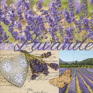 Szalvéta - levendula - lavendel