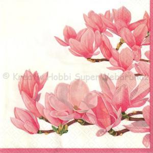 Szalvéta - magnólia