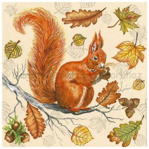 Szalvéta - mókus, öszi falevelek