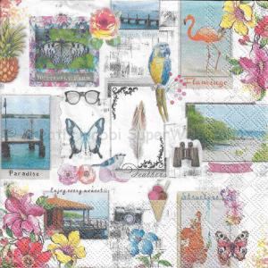 Szalvéta - nyári emlékek - Paradise