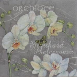 Szalvéta - orchidea