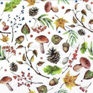 Szalvéta - őszi erdő - autumn forest