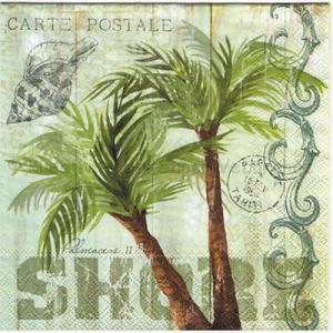 Szalvéta - pálmafa - Palm Trees