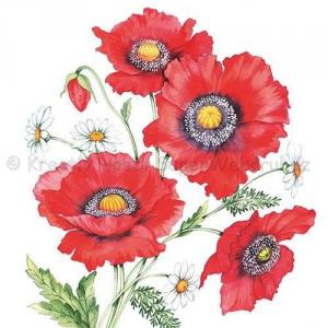 Szalvéta - pipacs - Poppy Scene