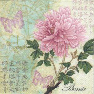 Szalvéta - pünkösdi rózsa