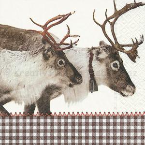 Szalvéta - rénszarvasok