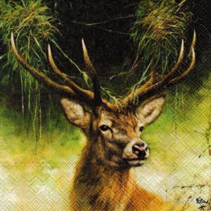 Szalvéta - szarvas - Proud Deer
