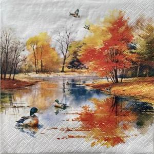 Szalvéta - tőkés récék az őszi tavon