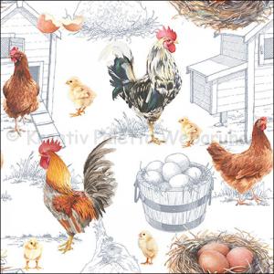 Szalvéta - tyúkfarm