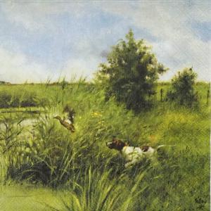 Szalvéta - vadászkutya