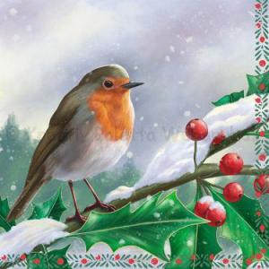 Szalvéta - vörösbegy