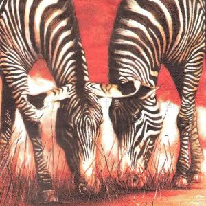 Szalvéta - zebra