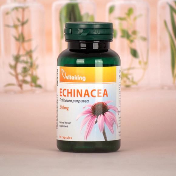 Vitaking Echinacea 250 mg 90 kaps